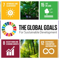 Translating Sustainable Development Goals into actions